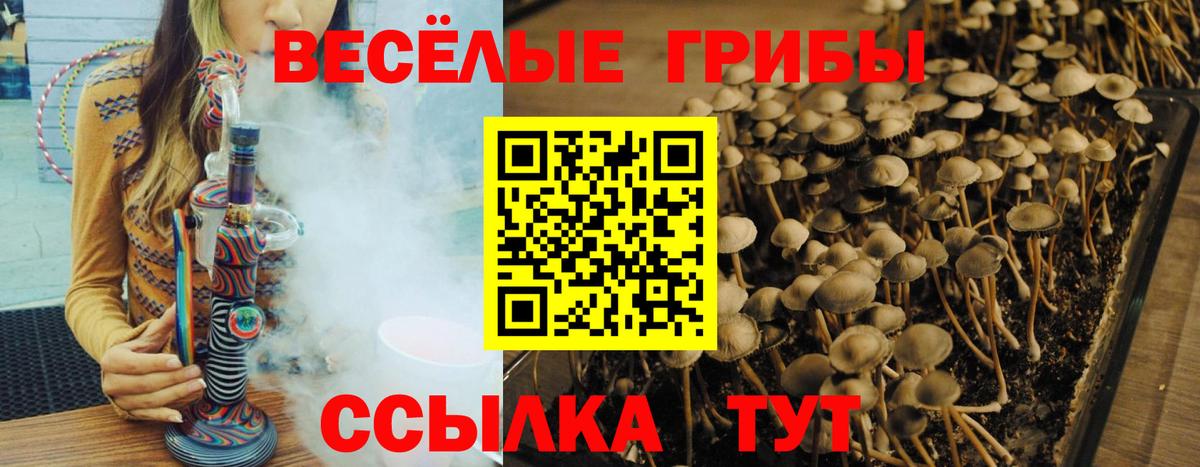 Галлюциногенные грибы мицелий  Галлюциногенные грибы Cubensis  Ногинск  Вход с VPN 
